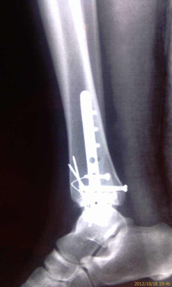 IMAG0292.jpg