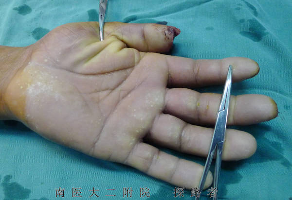 P1040330_副本.jpg
