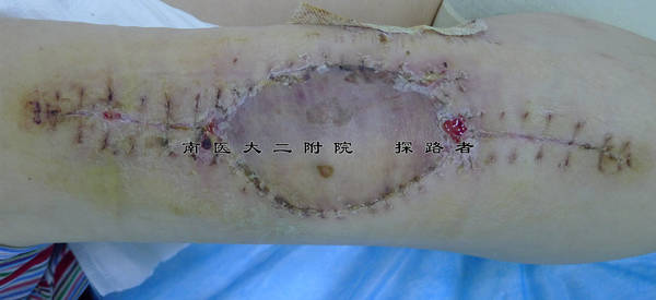 P1040339_副本.jpg