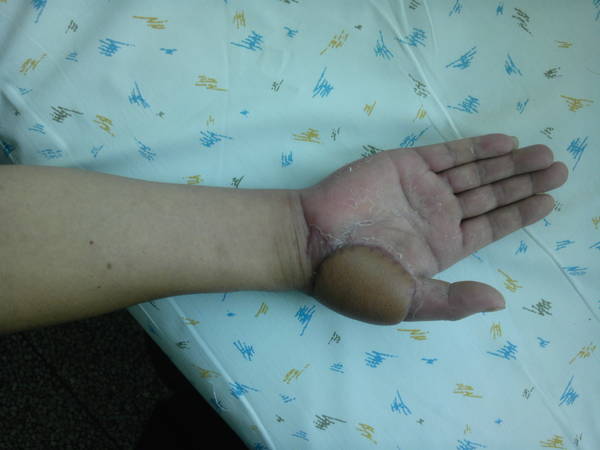 IMG_20130726_093625.jpg