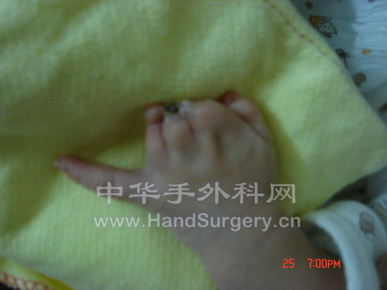 照片 101.jpg