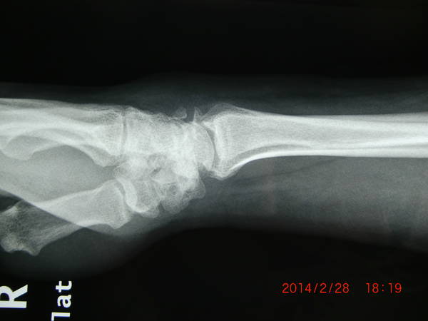 CIMG7126.JPG