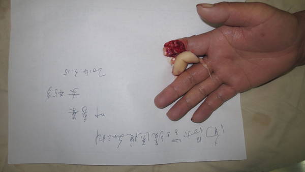 照片 223.jpg
