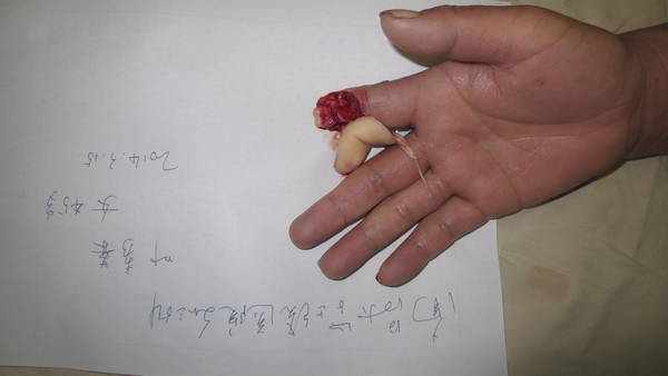照片 224.jpg