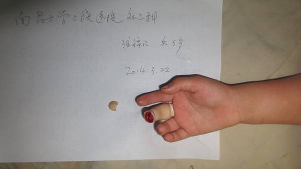 照片 250.jpg