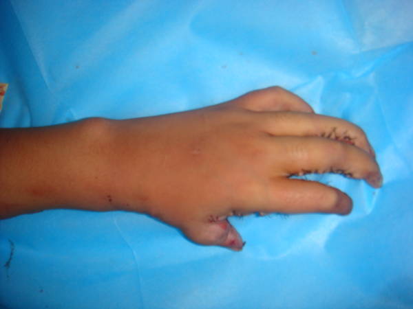 DSC09381.JPG