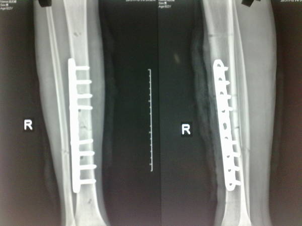 201311182479.jpg