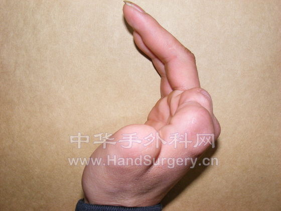 200904081553528AzZolIclxTIODpz.jpg