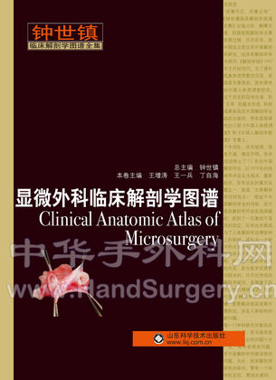 显微外科临床解剖图谱封面副本.jpg