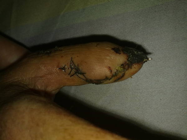 201309031978.jpg