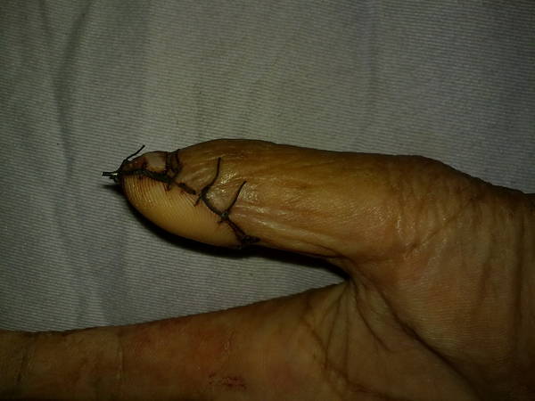 201309031981.jpg