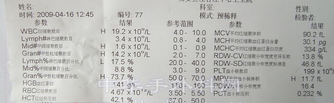 血常规.jpg