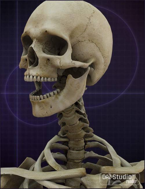 m4-skeleton-0.jpg