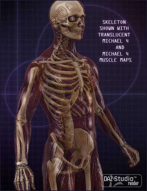 m4-skeleton-3.jpg
