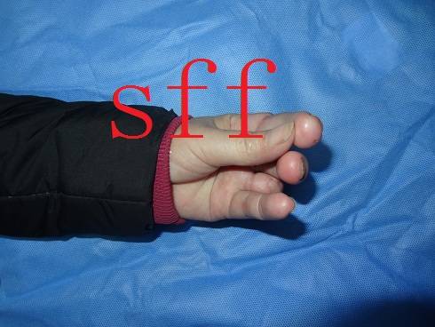 7.JPG