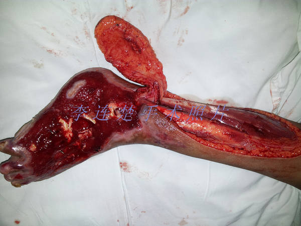 20121029_120426.jpg