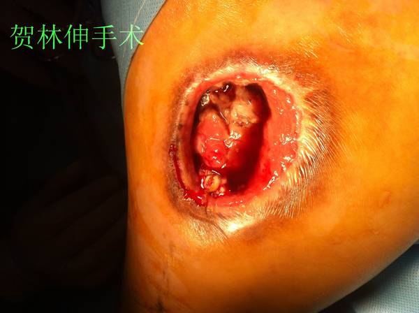 照片 109.jpg