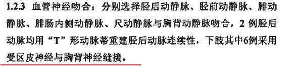 运动吻合皮神经