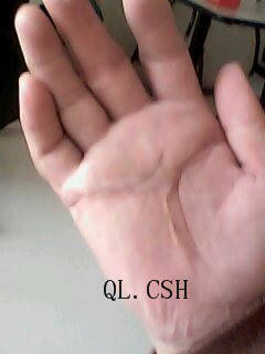 IMG0007A.jpg