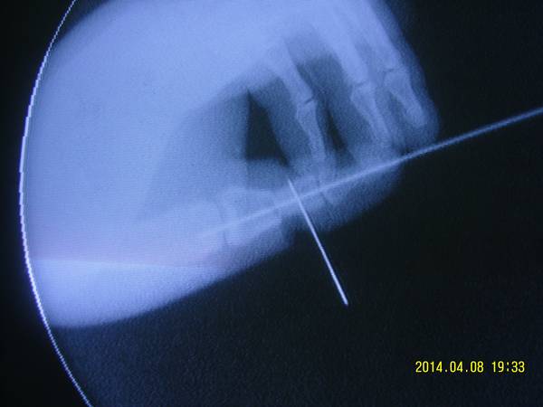 SNC10742_conew1.jpg