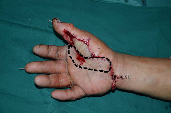 DSC_9686_jpg_thumb_副本.jpg