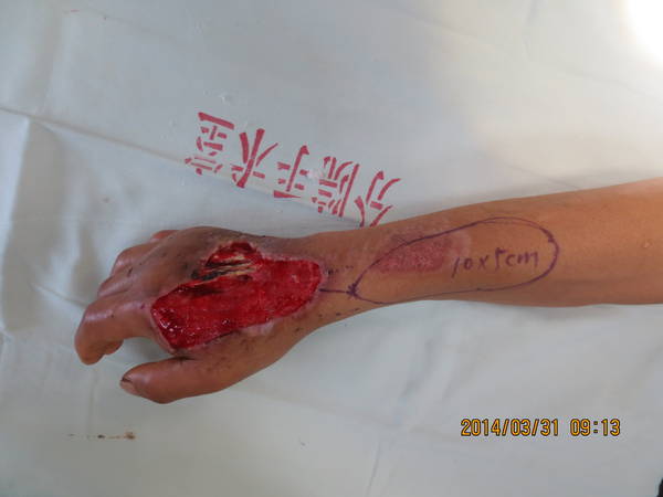 照片 1395.jpg