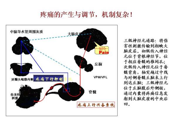 幻灯片7.JPG