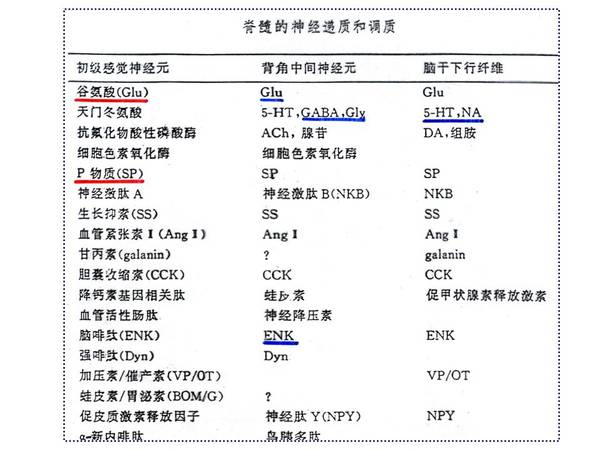 幻灯片8.JPG