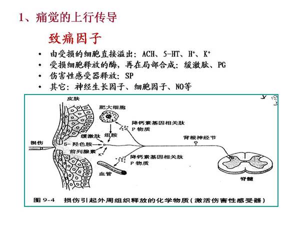 幻灯片9.JPG