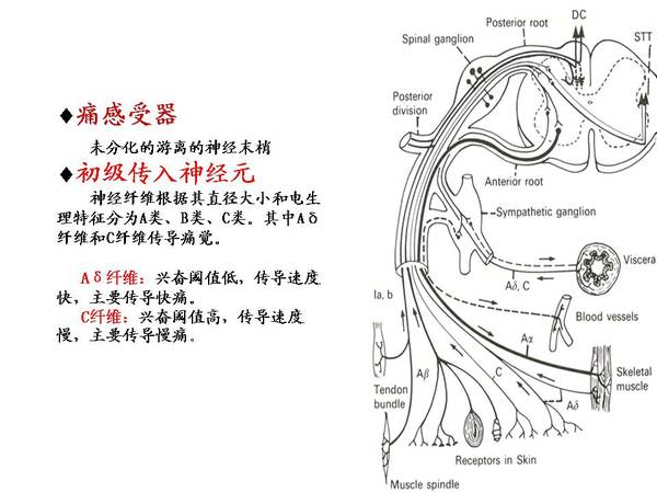 幻灯片10.JPG