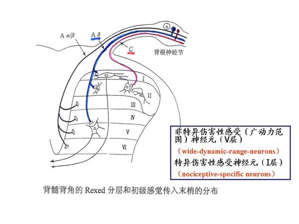 幻灯片11.JPG
