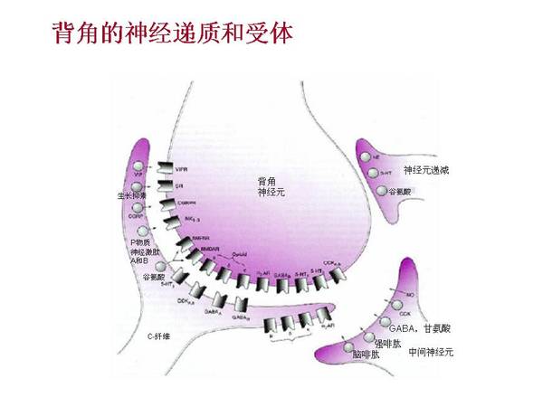 幻灯片12.JPG