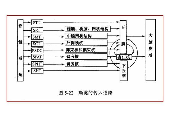 幻灯片13.JPG