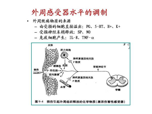 幻灯片15.JPG