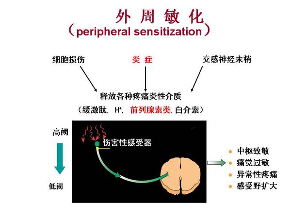 幻灯片16.JPG