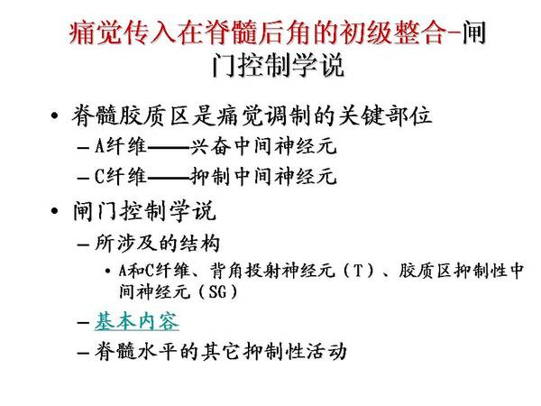 幻灯片17.JPG
