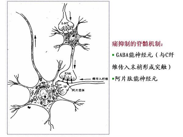 幻灯片18.JPG