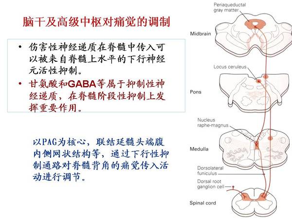 幻灯片21.JPG