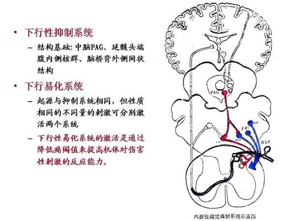 幻灯片22.JPG