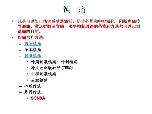 幻灯片24.JPG