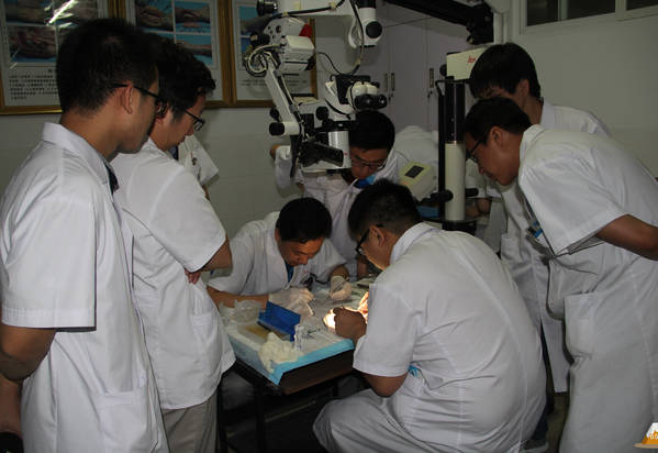 QQ截图20140624235147.jpg