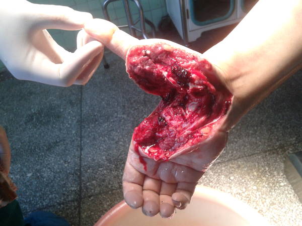 20140712_183525.jpg
