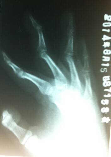 QQ图片20140815225234.jpg