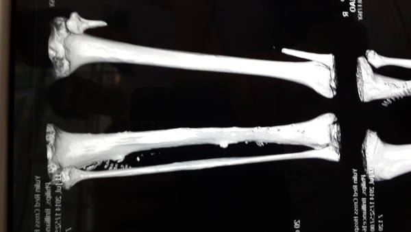 20140714_095030.jpg