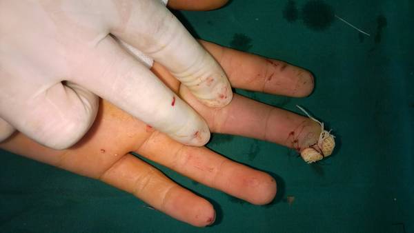 WP_20140711_005.jpg