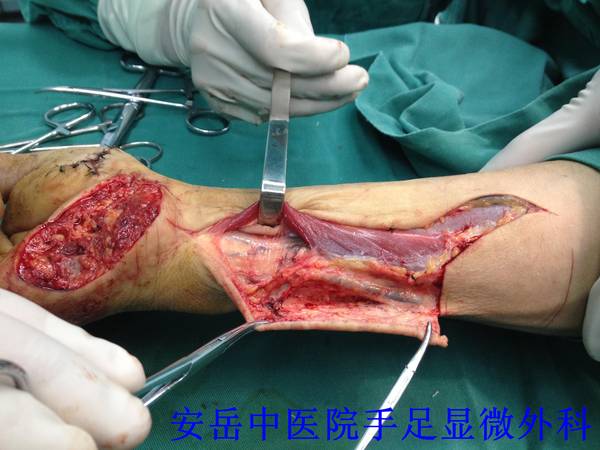 我的照片 003.jpg