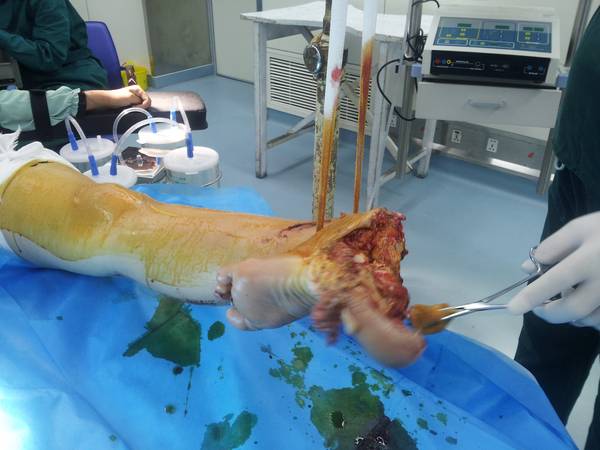 20140908_004253.jpg