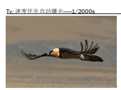 QQ图片20140918062757.png