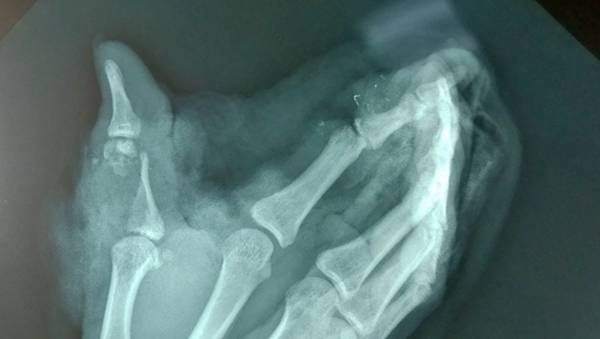 WP_20141008_13_24_31_Pro.jpg