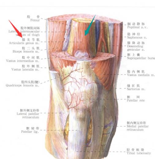 QQ截图20141201234901.png